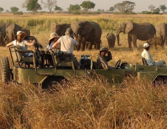 Kenya: Unbridled Adventure