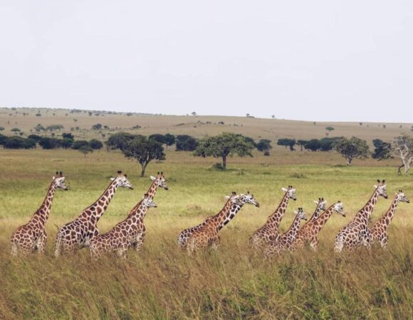 Kenya: Heart of Africa