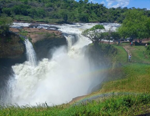 MURCHISON FALLS 7Days Uganda Chimps & Gorilla Trekking Safari-tonky-safaris-