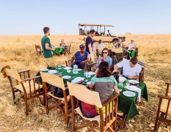 Discover the Thrills of Safari, Nature, and Community